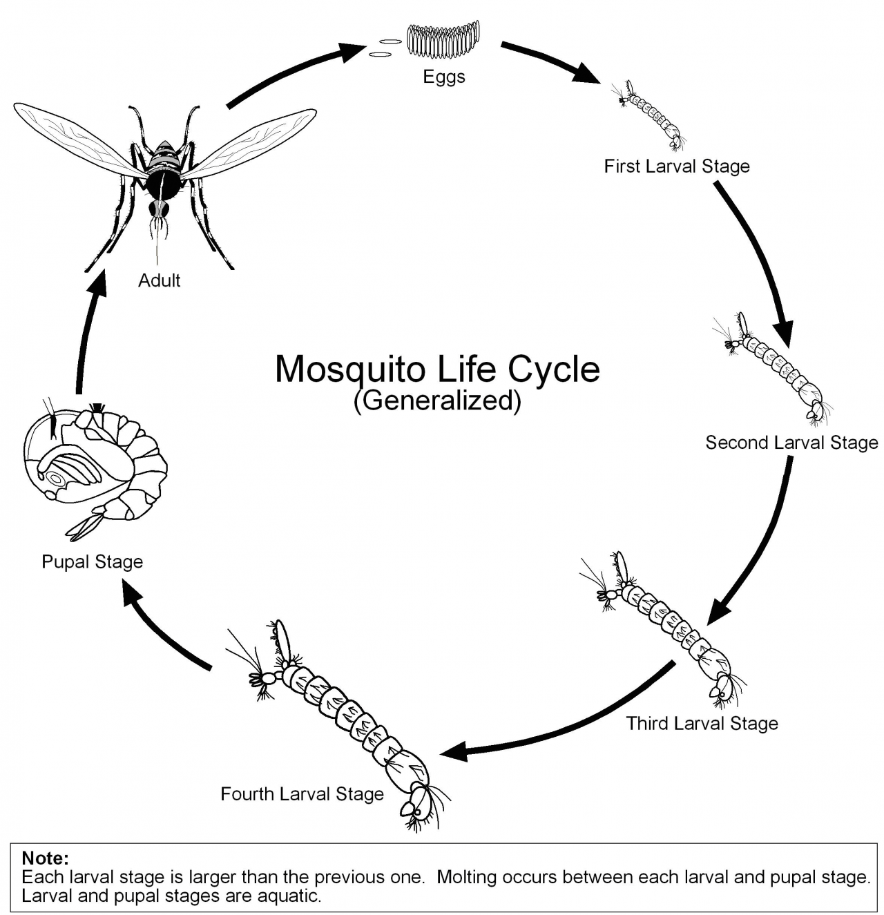 Facts | Mosquito Abatement District